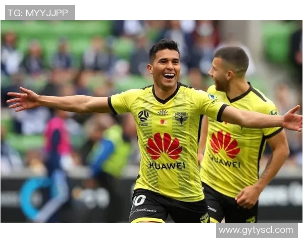 惠灵顿与中央海岸比赛前瞻及比分预测分析,谁将赢得胜利 惠灵顿与中央海岸比赛前瞻及比分预测分析,谁将赢得胜利