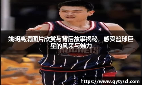 姚明高清图片欣赏与背后故事揭秘，感受篮球巨星的风采与魅力