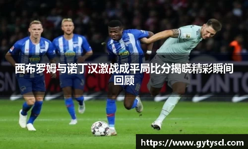 西布罗姆与诺丁汉激战成平局比分揭晓精彩瞬间回顾