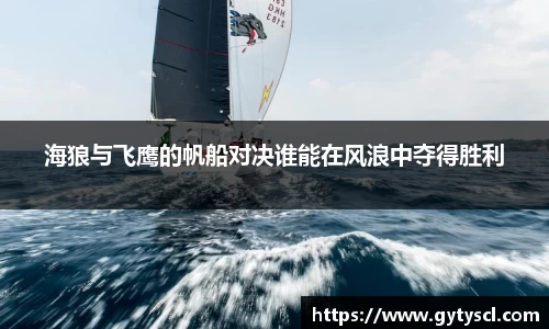 海狼与飞鹰的帆船对决谁能在风浪中夺得胜利